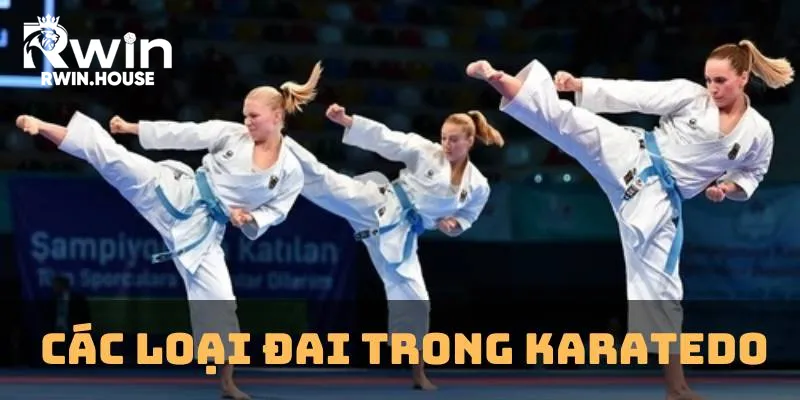 Các loại đai trong Karatedo