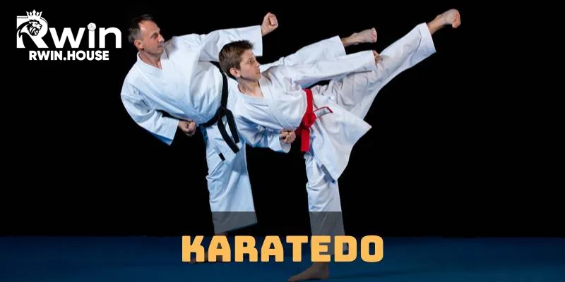 Karatedo: Môn Võ Nhật Bản Được Yêu Thích Trên Toàn Thế Giới