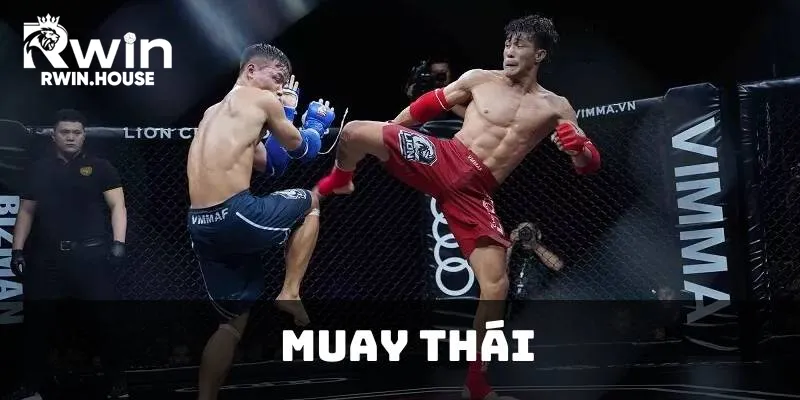 Khám Phá Muay Thái: Những Điều Bạn Cần Biết Về Võ Muay Thái
