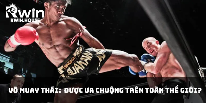 Võ Muay Thái: Tại sao nó lại được ưa chuộng trên toàn thế giới?